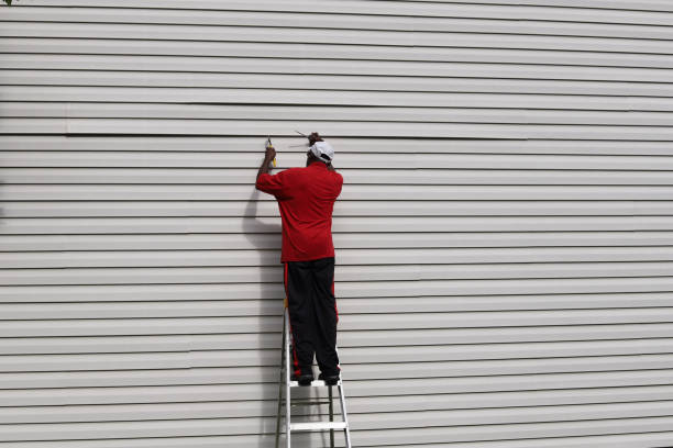 Best Vinyl Siding Installation  in Rincon, GA